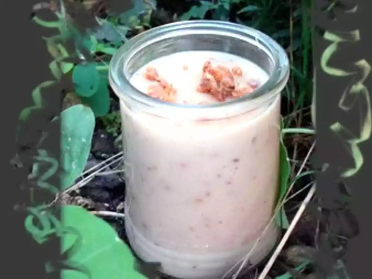 Petite crème pralinée façon Danette