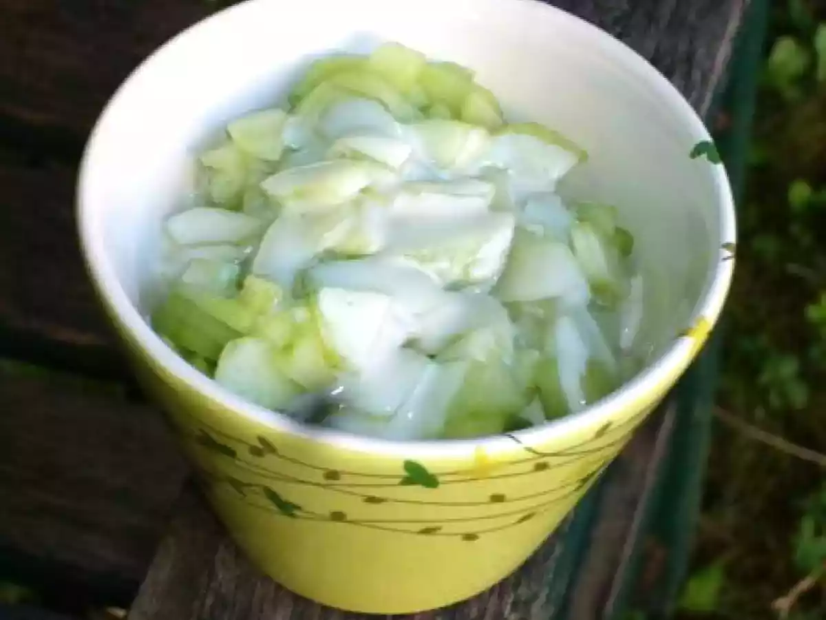 Petite entrée rapide et fraîche (4)