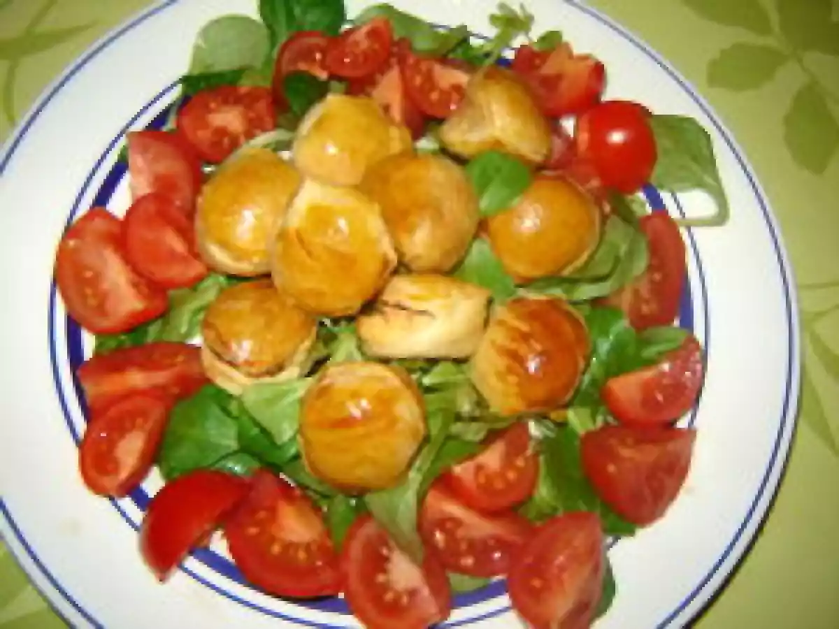 Petites bouchées au saumon avec le raviole party de Tuptup