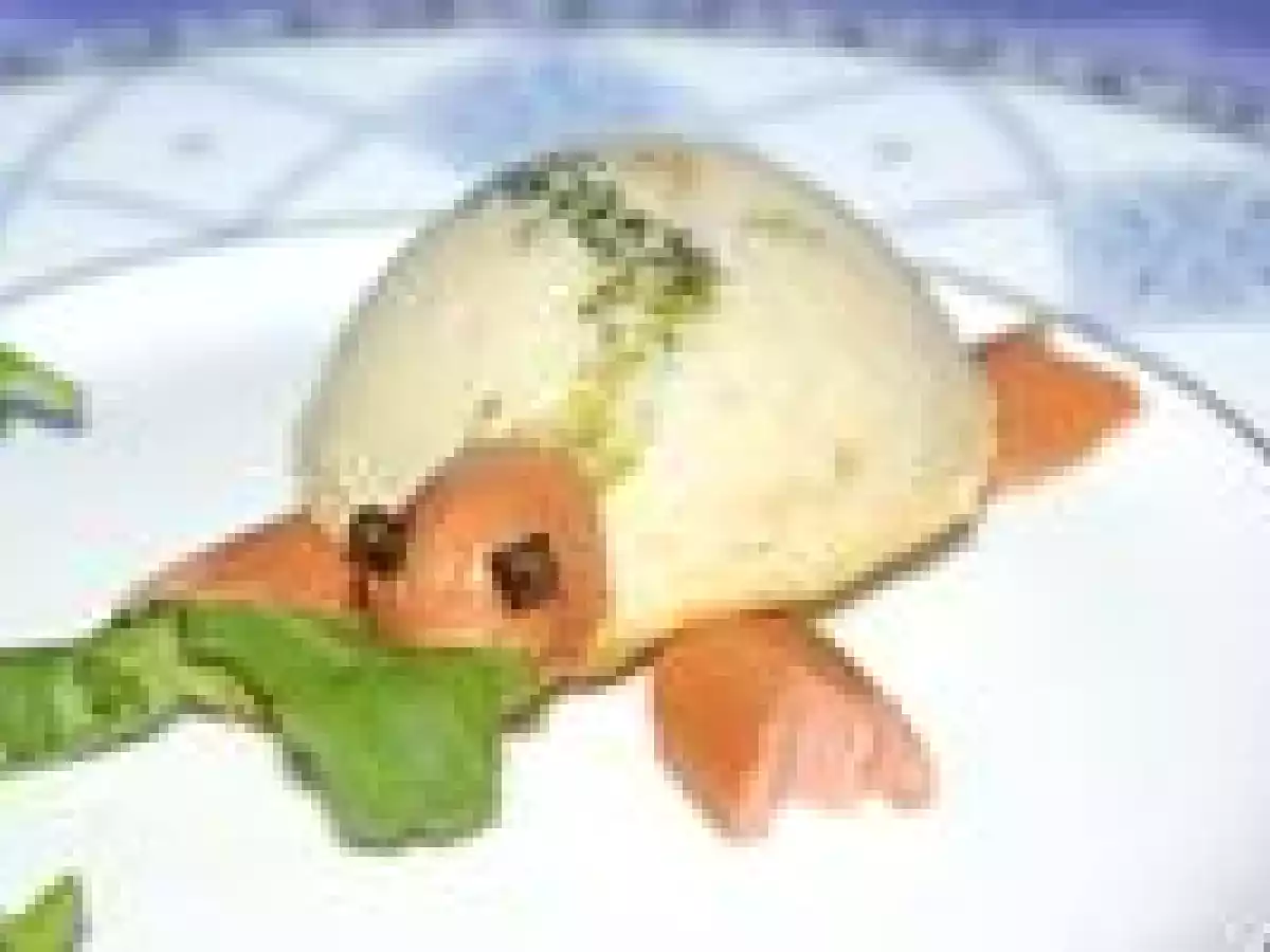 Petites tortues salées, cette fois; ou comment faire manger du chou à vos enfants!