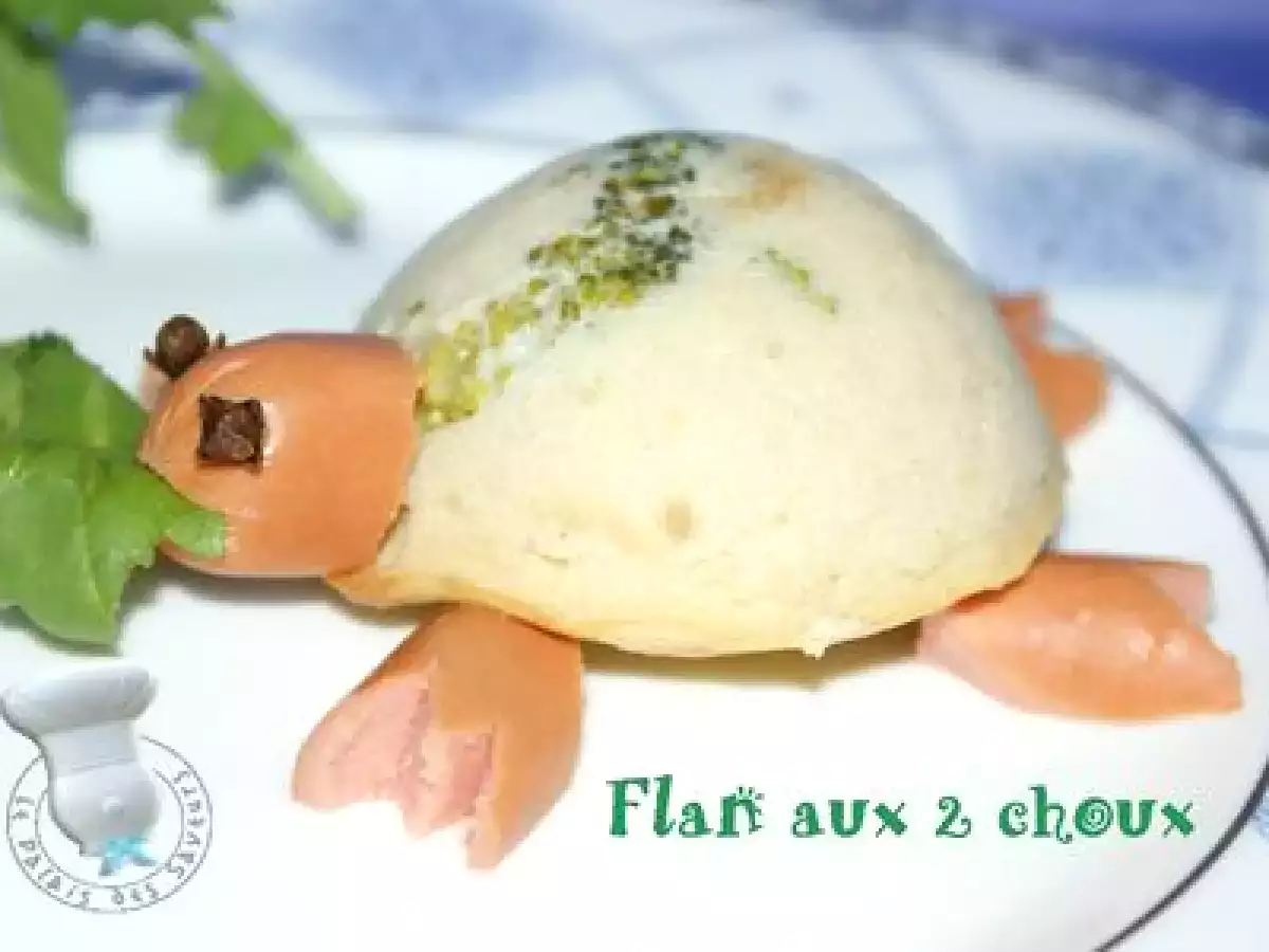 Petites tortues salées, cette fois; ou comment faire manger du chou à vos enfants! - photo 4