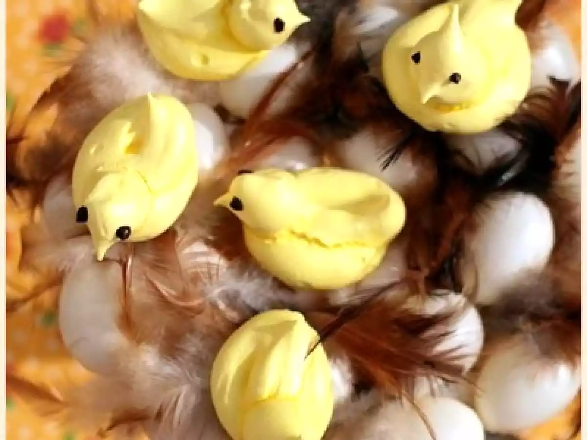 Petits becs sucrés...des petits poussins suisses à croquer! - photo 2