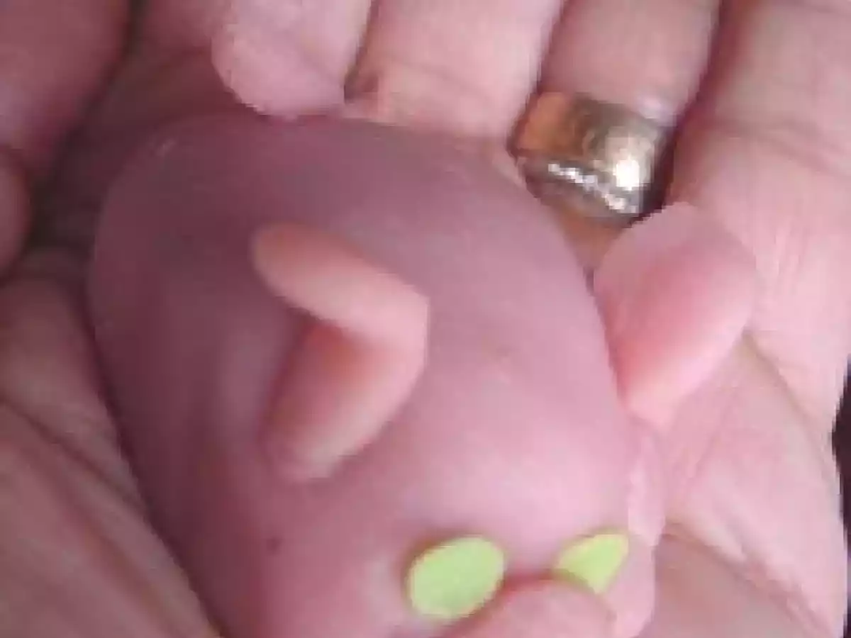 Petits cochons roses - photo 3