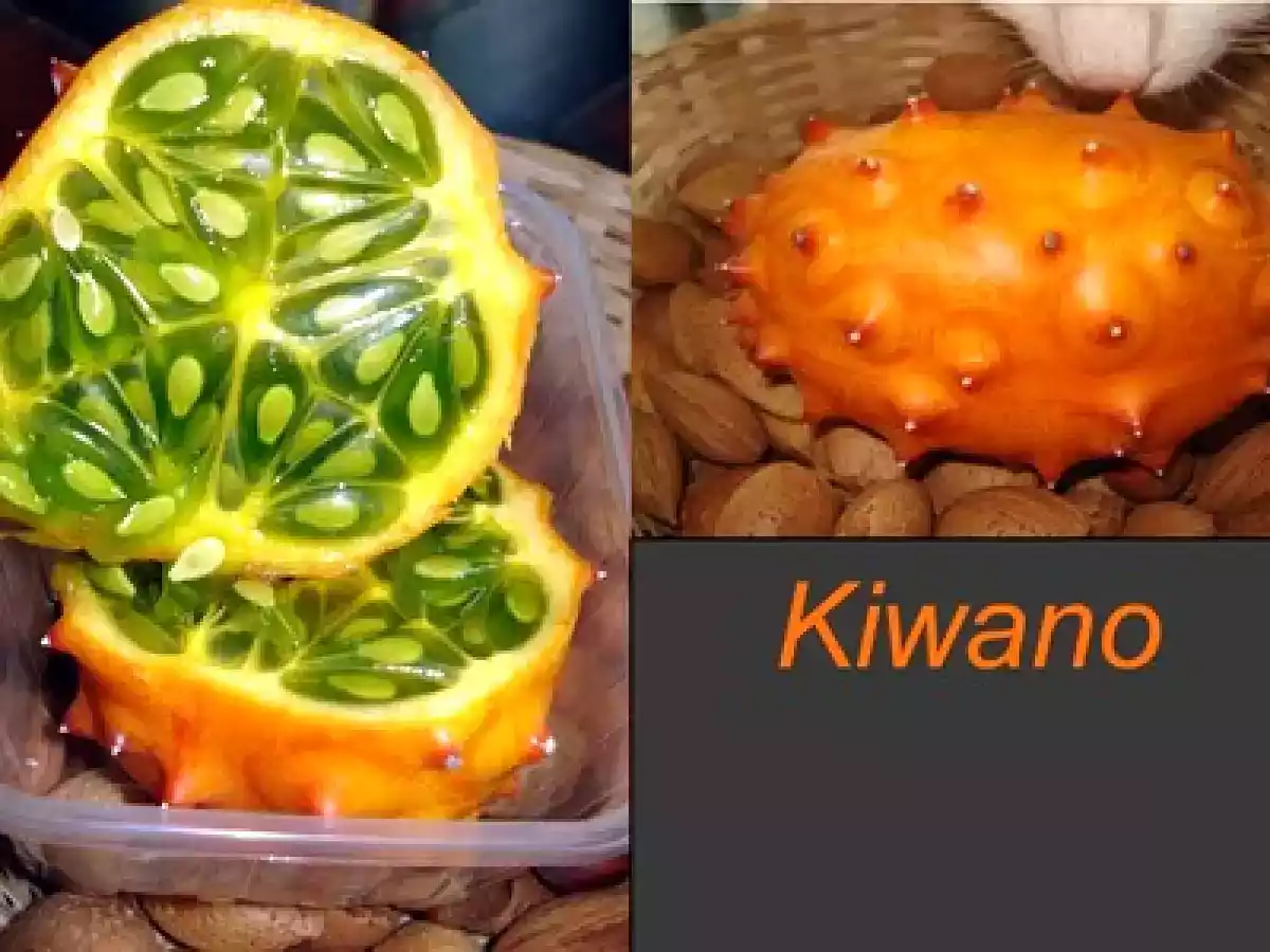 Petits gâteaux au kiwano