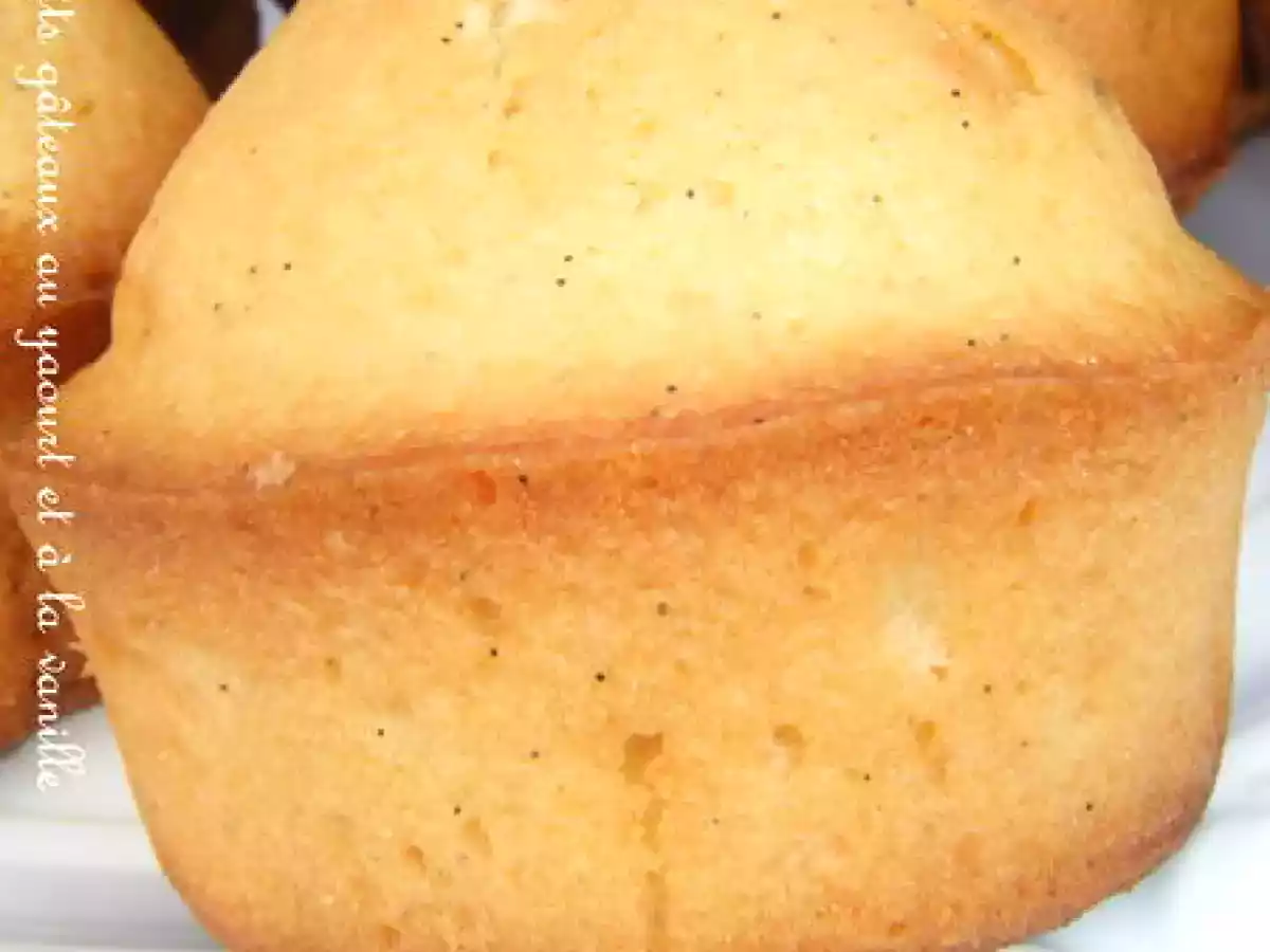 Petits gâteaux au yaourt et à la vanille - photo 3