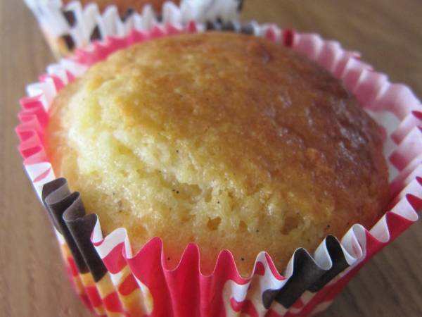 PETITS GATEAUX YAOURT MIEL COCO CITRON