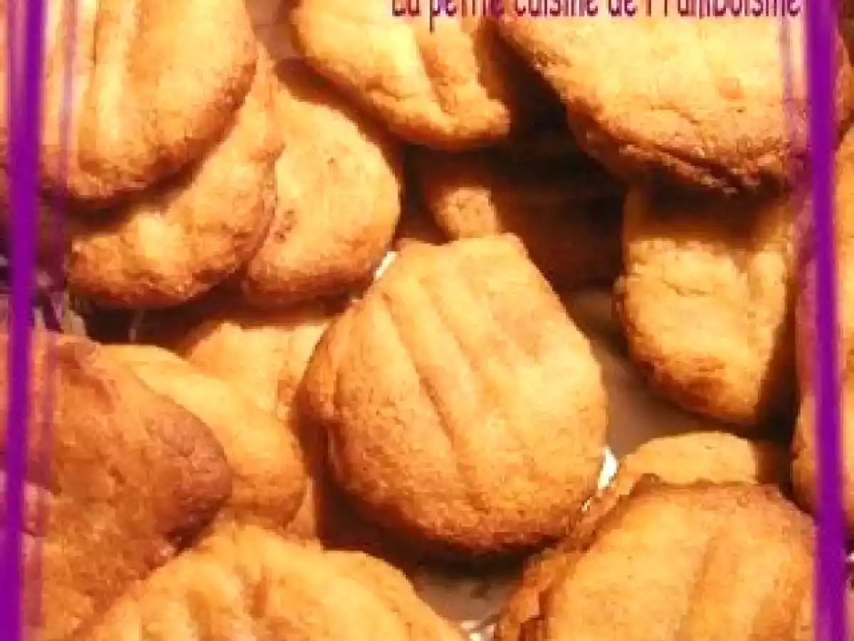 Petits palets gingembre et cannelle