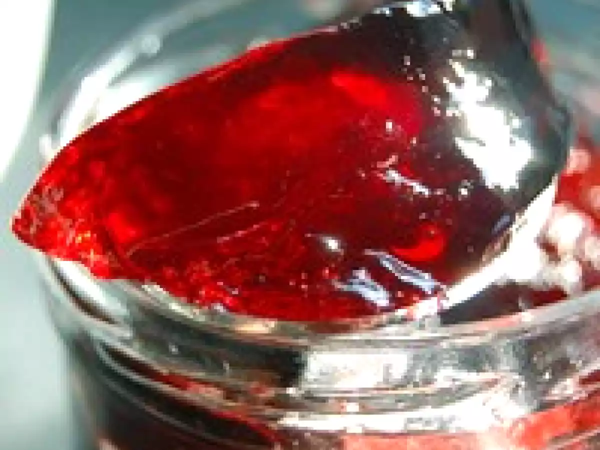 Petits pots de chantilly... à la groseille ! - photo 4