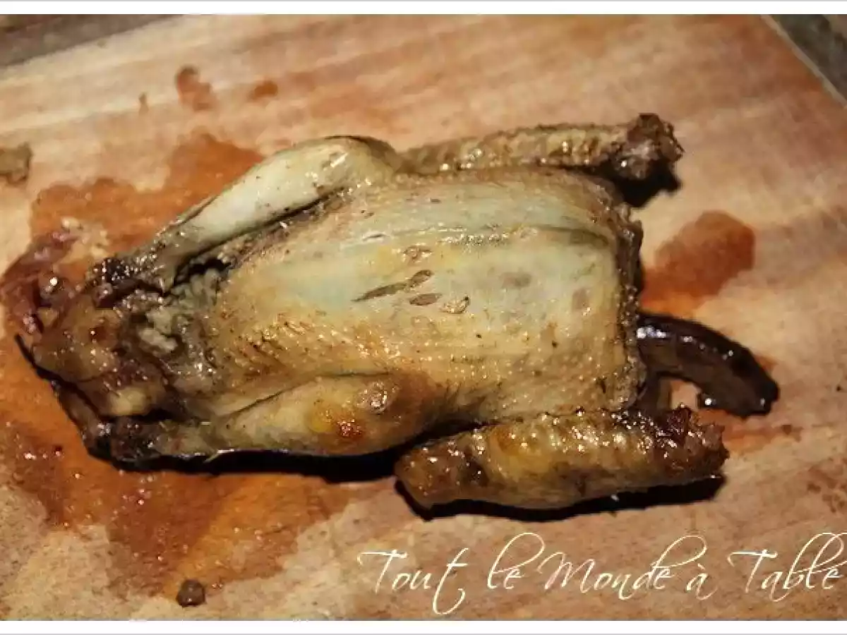 Pigeon au porto - photo 4