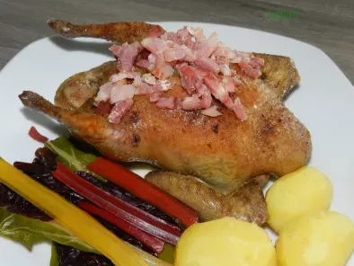 Pigeon cuit aux lardons et servi avec des blettes