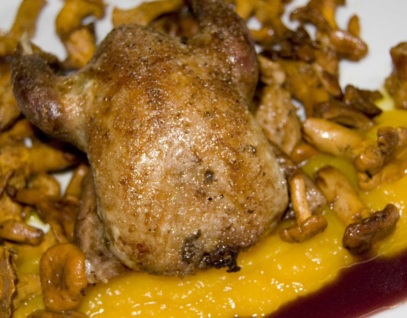 Pigeon ramier, compote de potiron à la vanille, chanterelles, sauce au