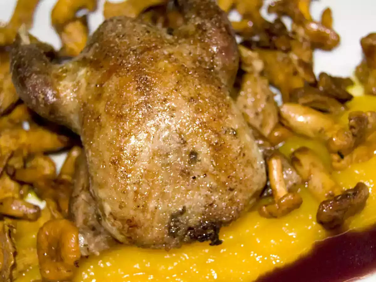 Pigeon ramier, compote de potiron à la vanille, chanterelles, sauce au marsala
