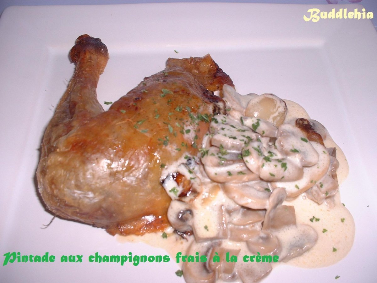 Recette de pintade aux champignons et à la crème