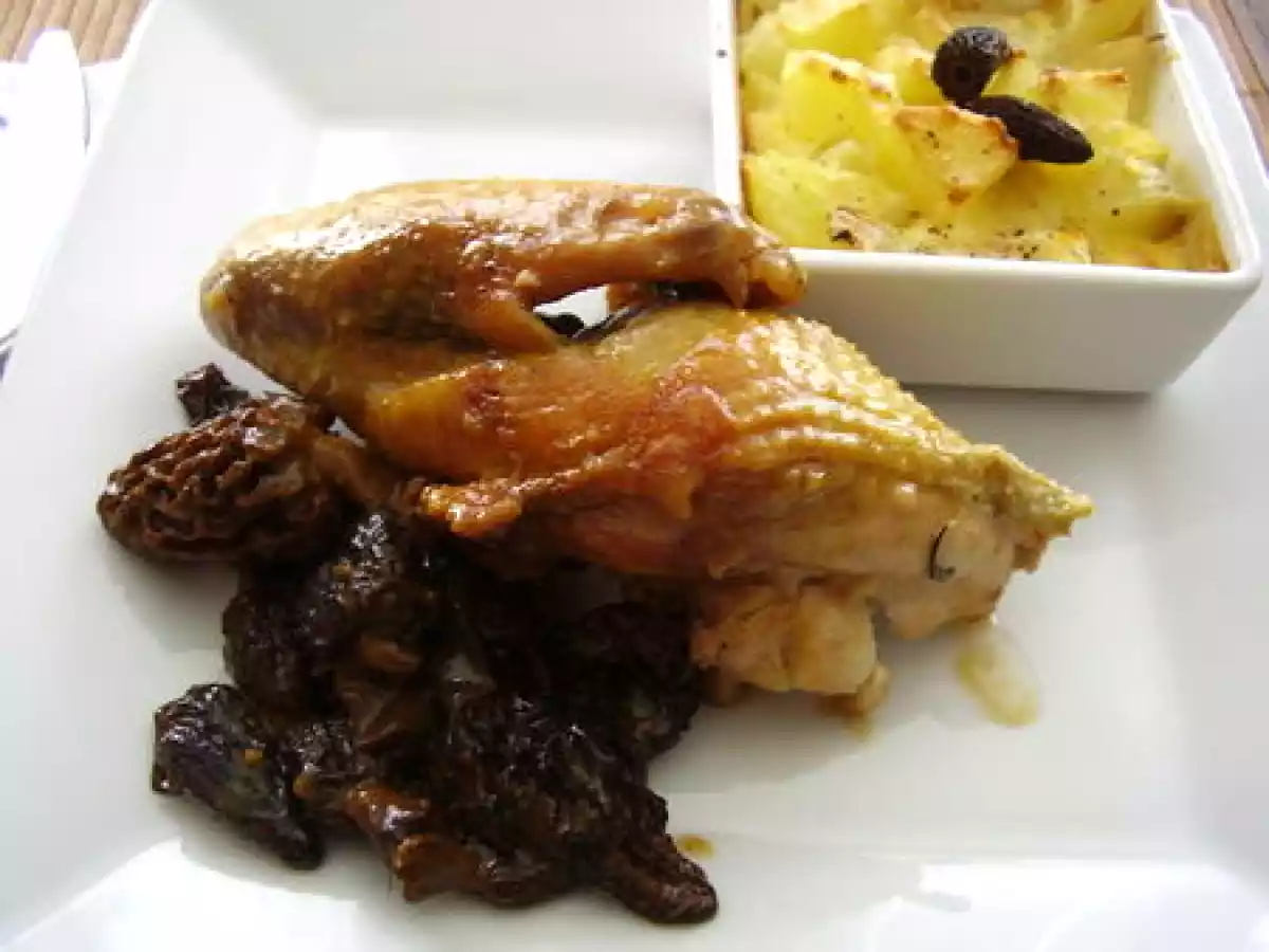 Pintade aux morilles et gratins de céleri.Recettes festives #16