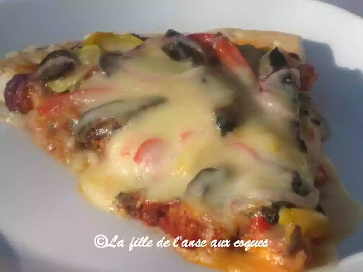 PIZZA AU CHORIZO ET AUX CHAMPIGNONS PORTABELLO - photo 2