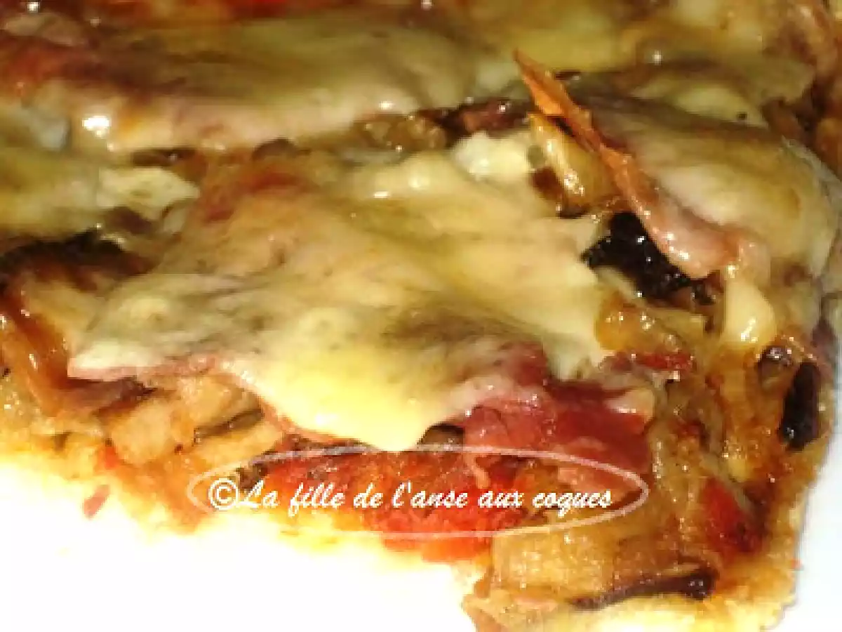 PIZZA AUX OIGNONS, CHAMPIGNONS ET PROSCIUTTO - photo 2