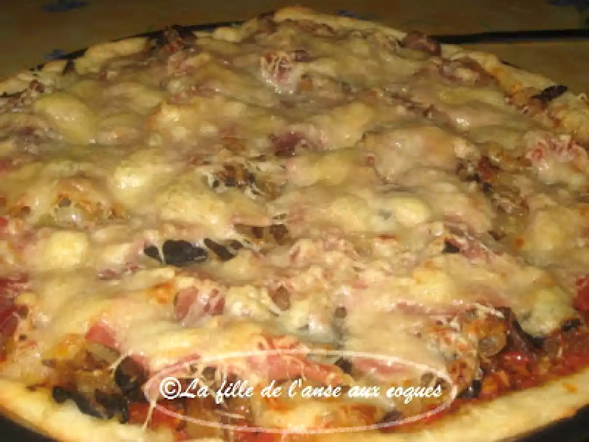 PIZZA AUX OIGNONS, CHAMPIGNONS ET PROSCIUTTO - photo 4
