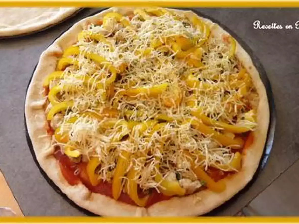 PIZZA INDIENNE AU POULET CURRY ET AUX POIVRONS CUITE AU BARBECUE - photo 3