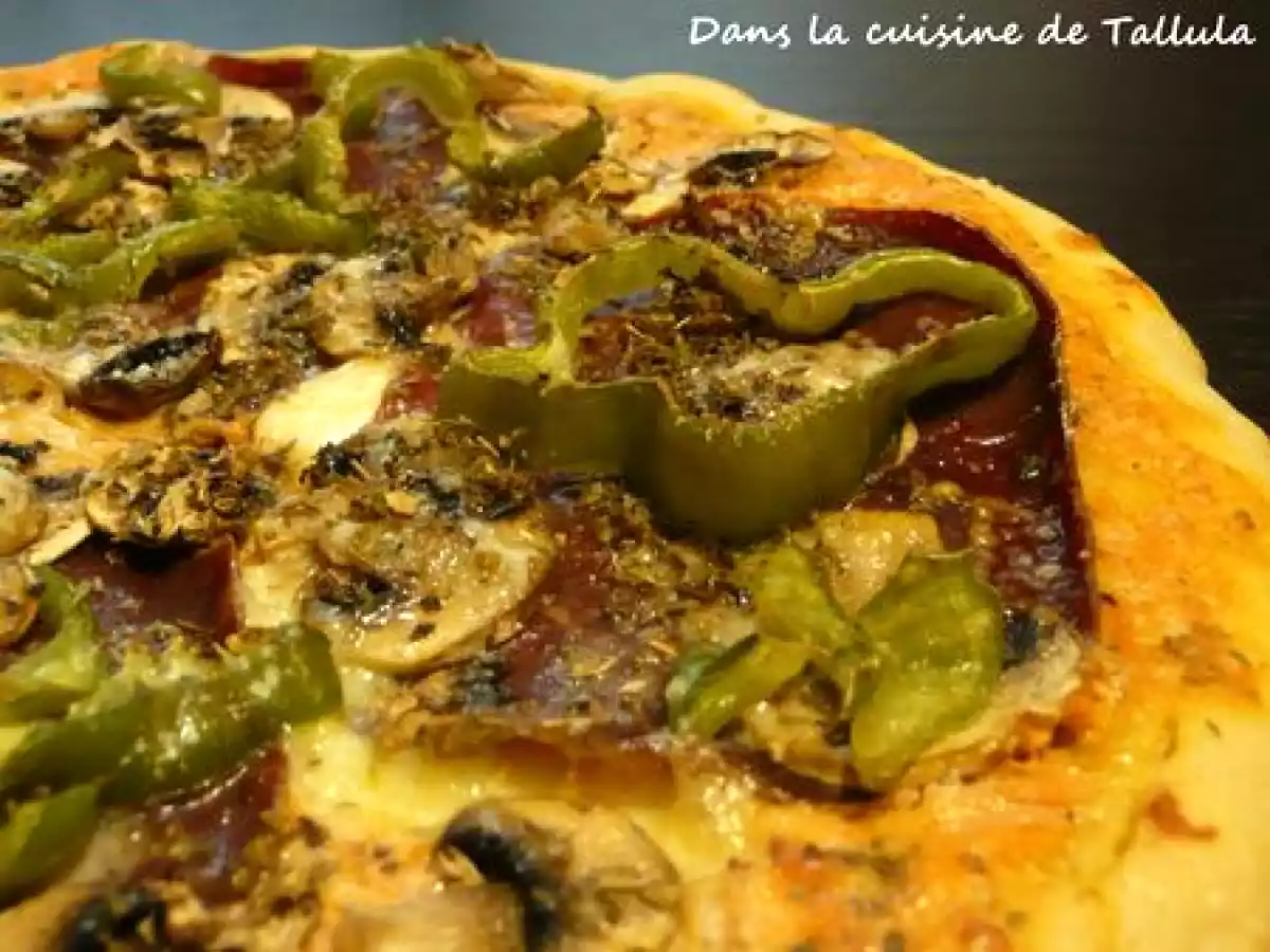 Pizza ricottomate à la viande des grisons et piment doux - photo 2