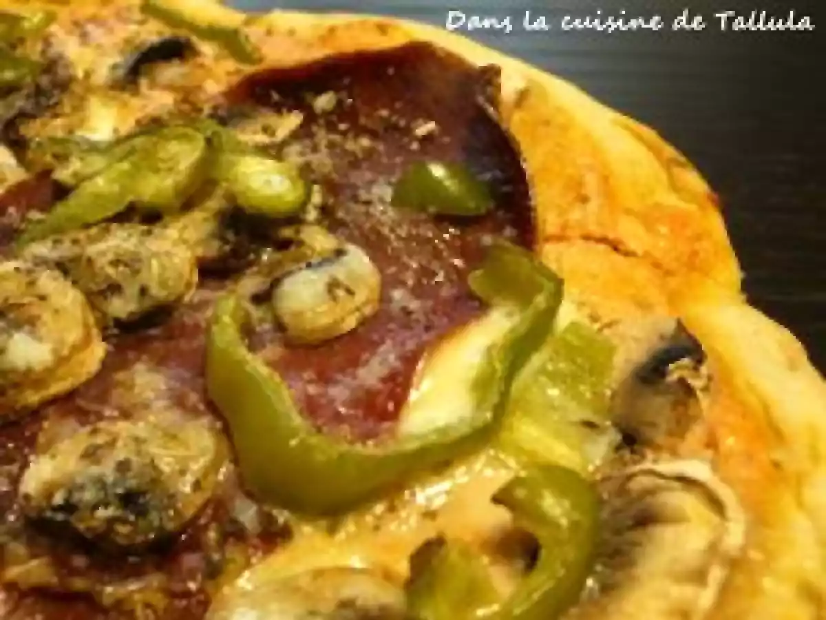 Pizza ricottomate à la viande des grisons et piment doux - photo 3