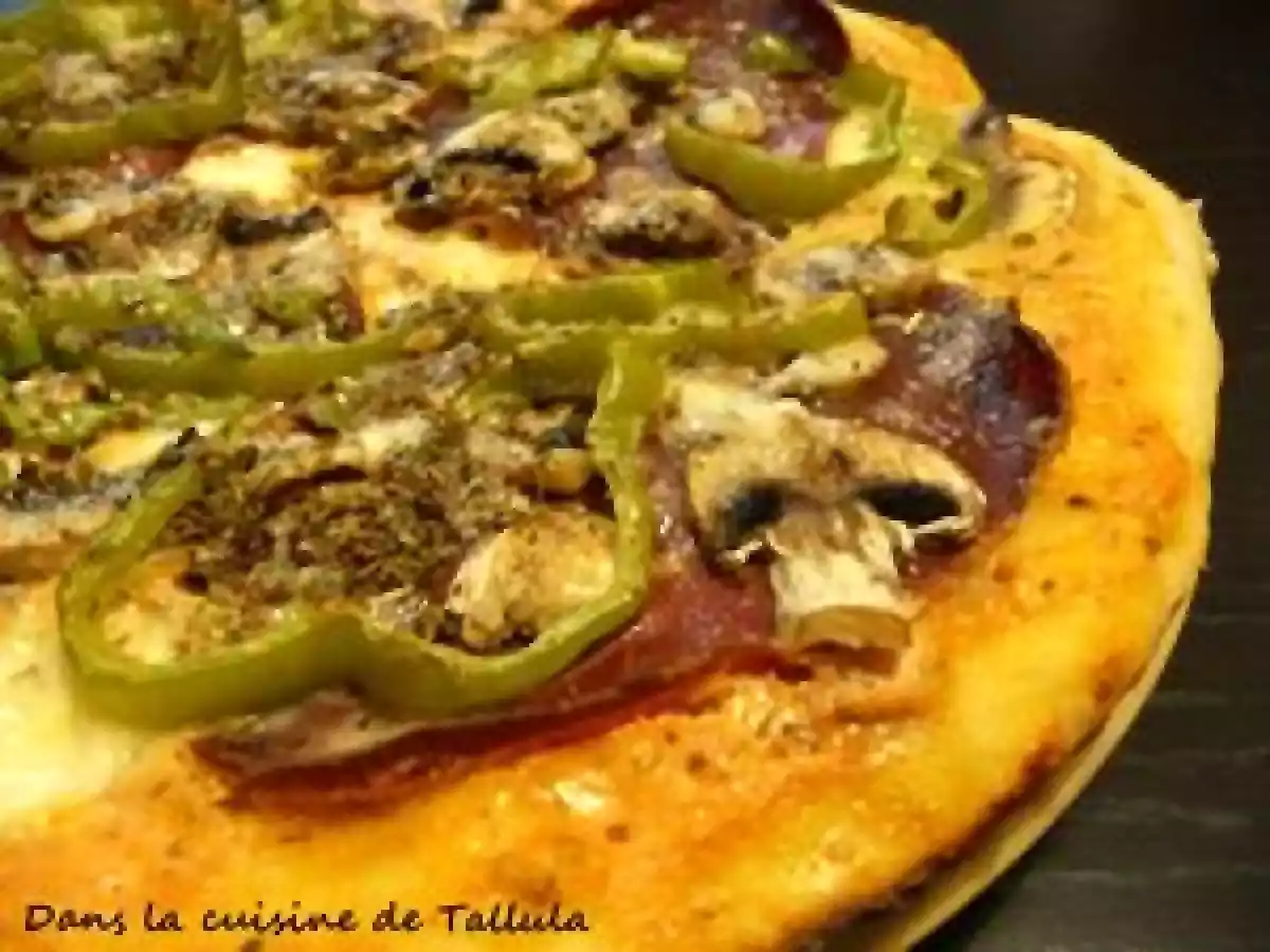 Pizza ricottomate à la viande des grisons et piment doux - photo 4