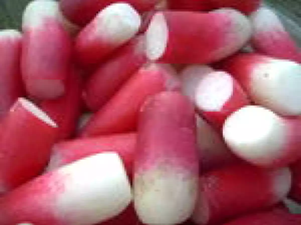 Platte Kaas ou la Tartine Bruxelloise - photo 2