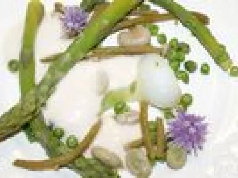 Poêlée de légumes verts croquants, écume de beurre blanc, photo 1