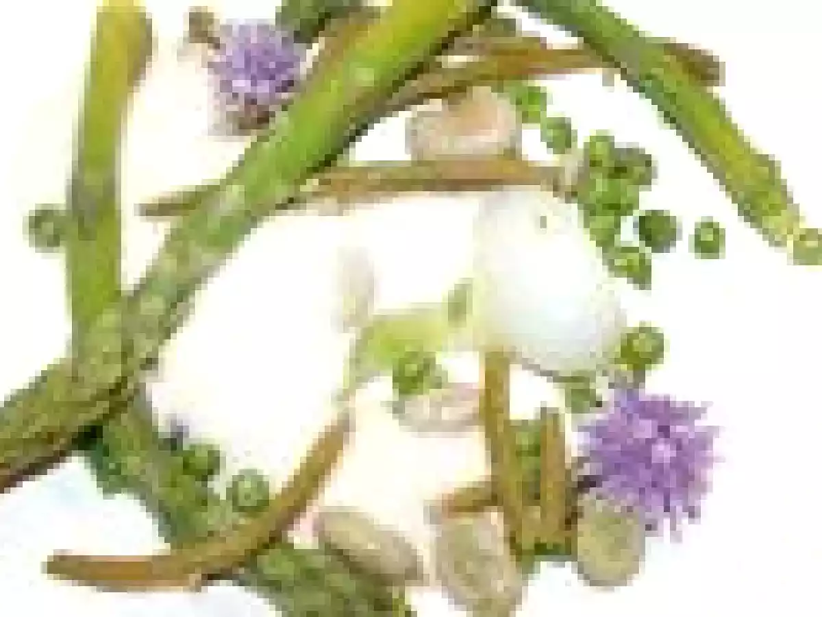 Poêlée de légumes verts croquants, écume de beurre blanc