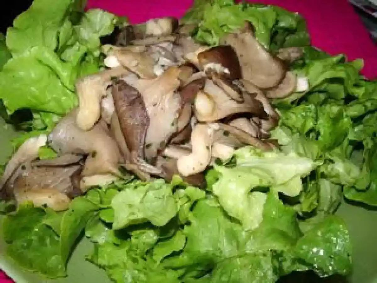 Poêlée de pleurottes et salade verte