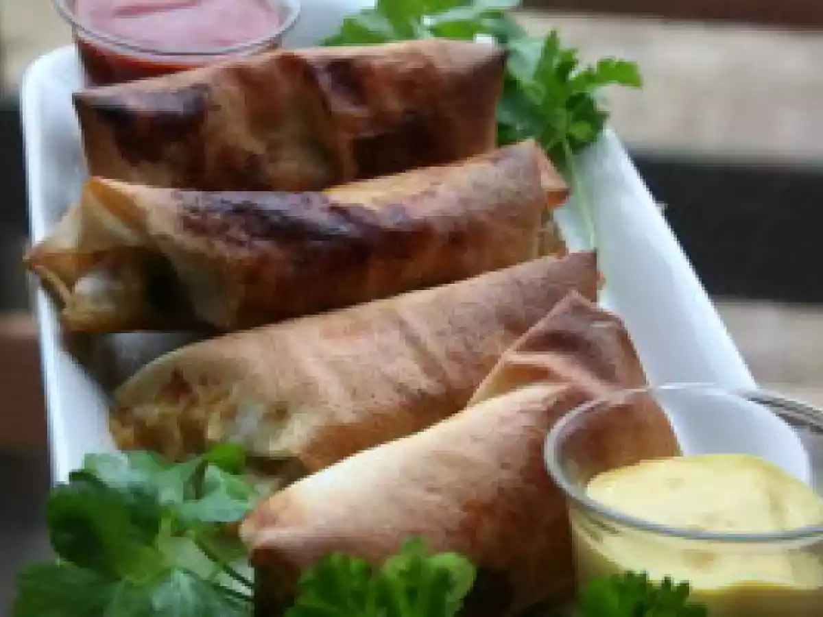 Portefeuille asiatique façon loempia