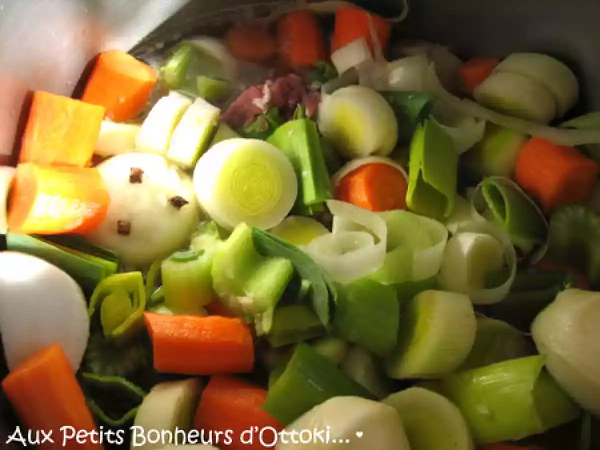 Pot au feu façon WW en cocotte minute - photo 2