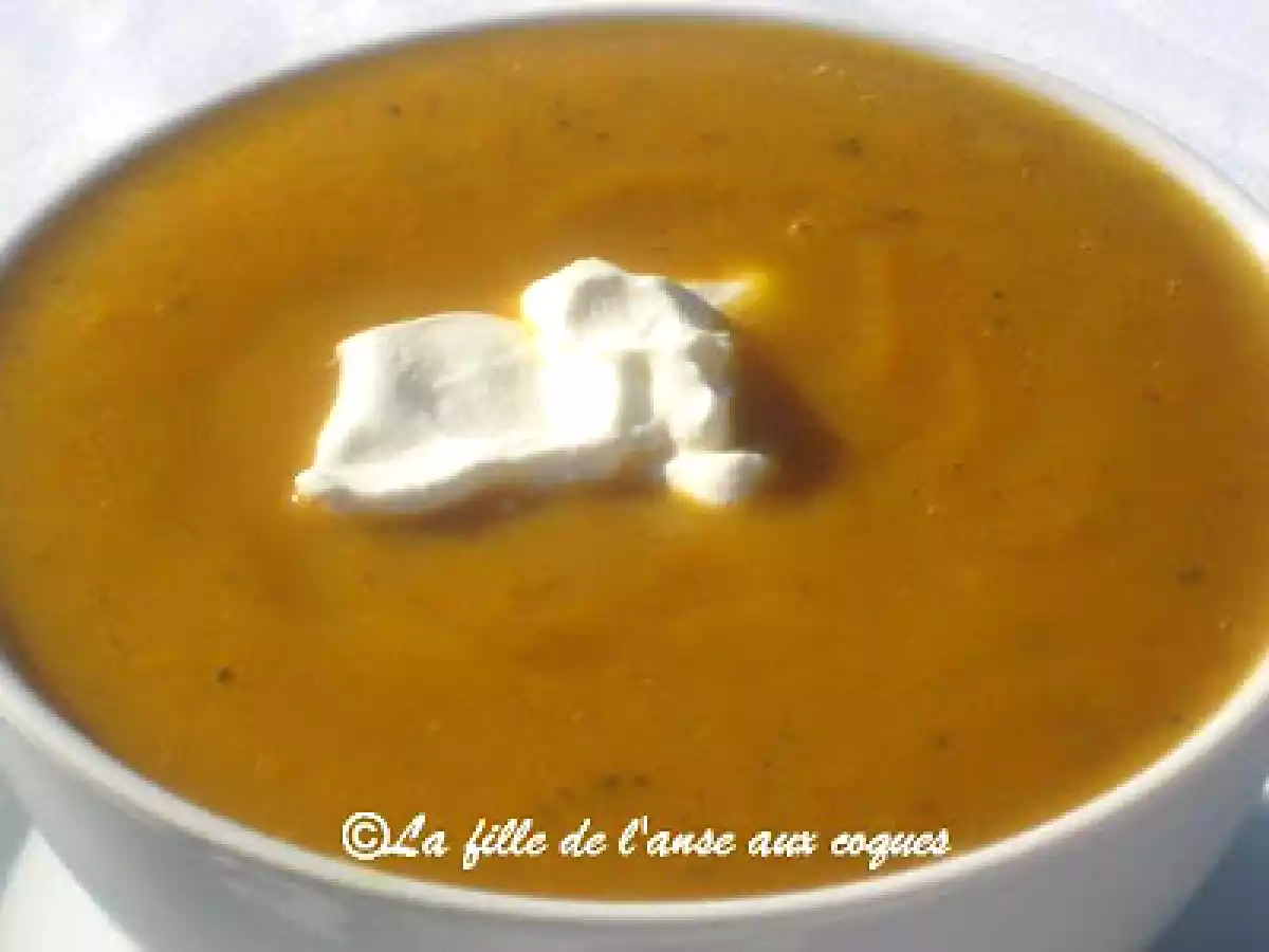 POTAGE À LA COURGE BUTTERCUP - photo 2
