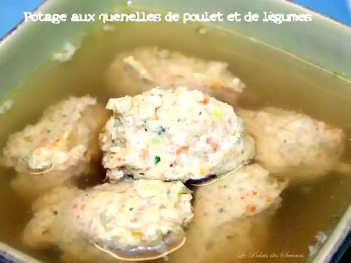 Potage aux quenelles de poulet et légumes