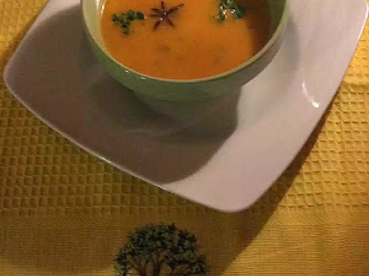 Potage aux tomates et aux raisins rouges