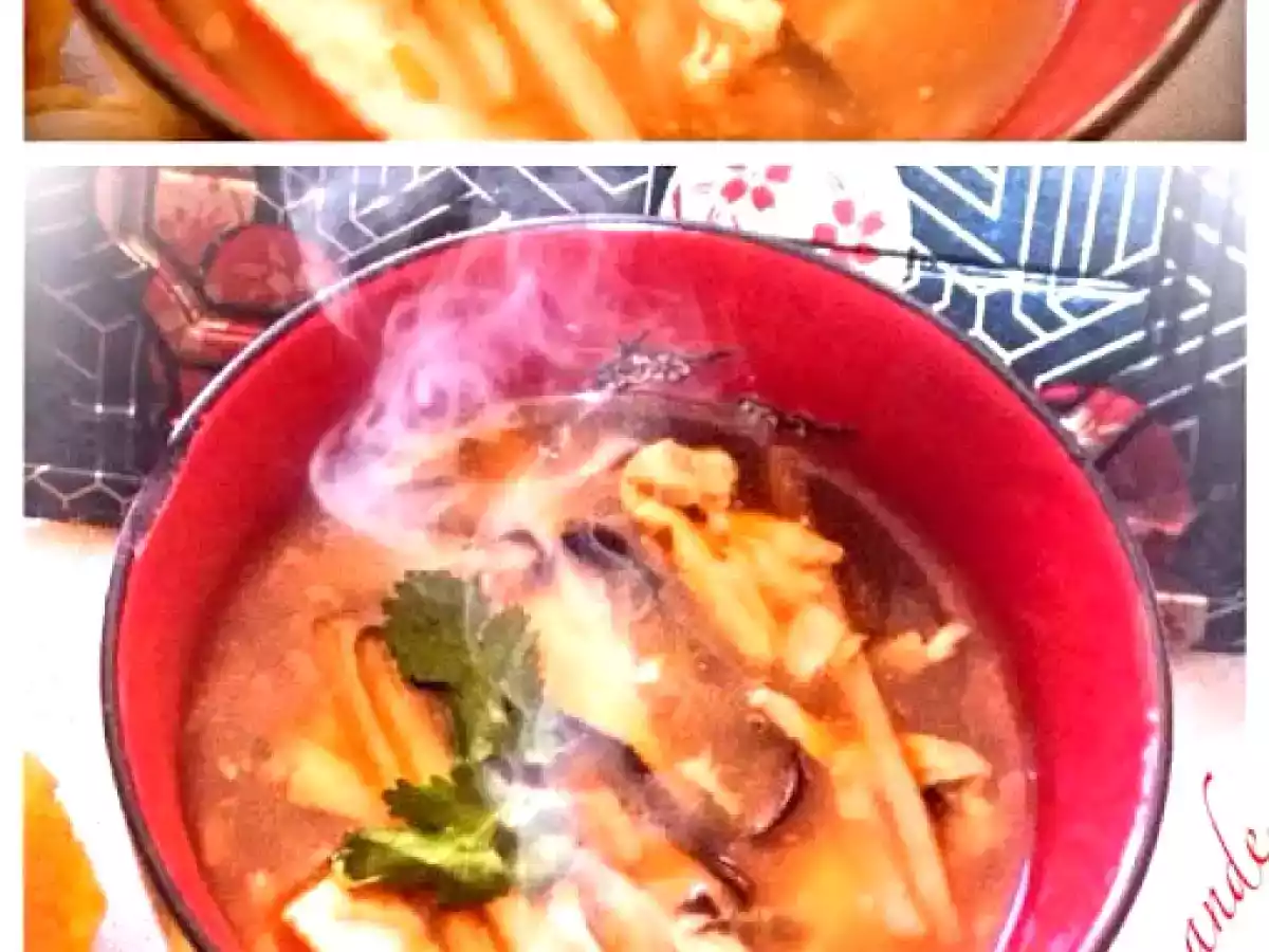 Potage Pekinois ou Hot and Sour Soup
