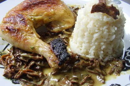 Recette de poulet à la crème et aux girolles