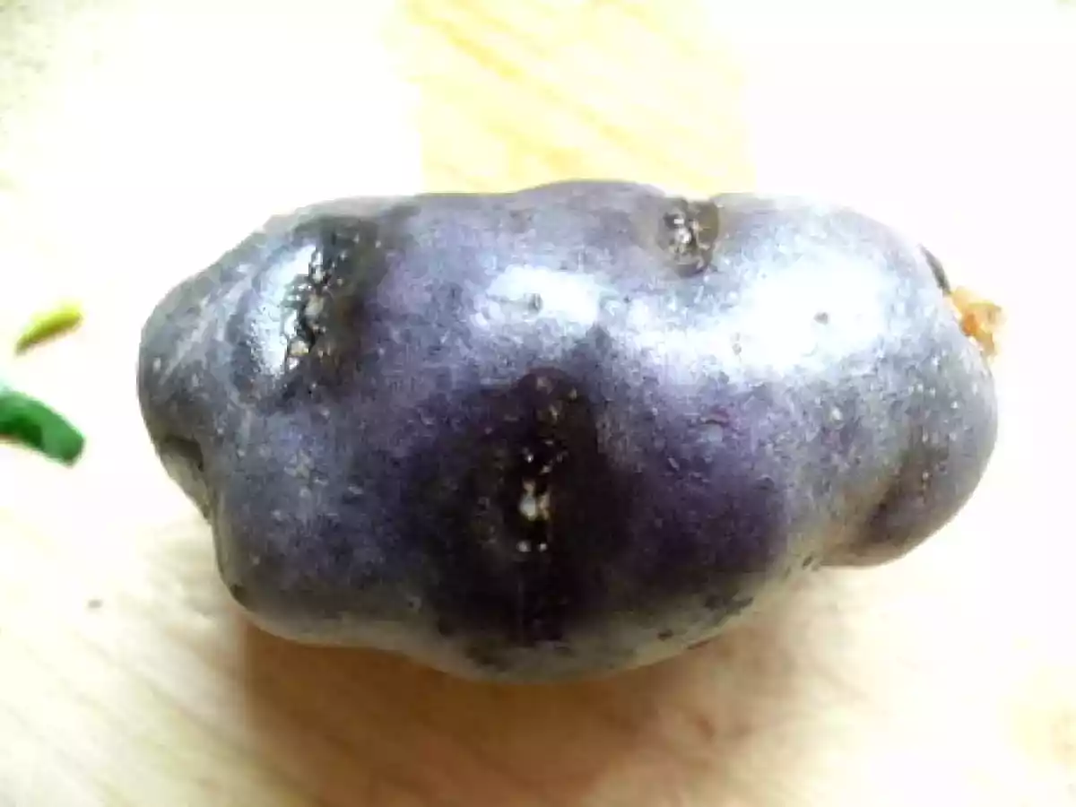 Poulet aux écrevisses et sa purée violette - photo 3