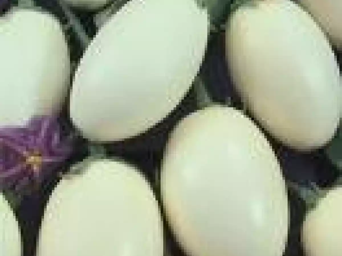 Poulet fumé inspiration africaine - photo 3