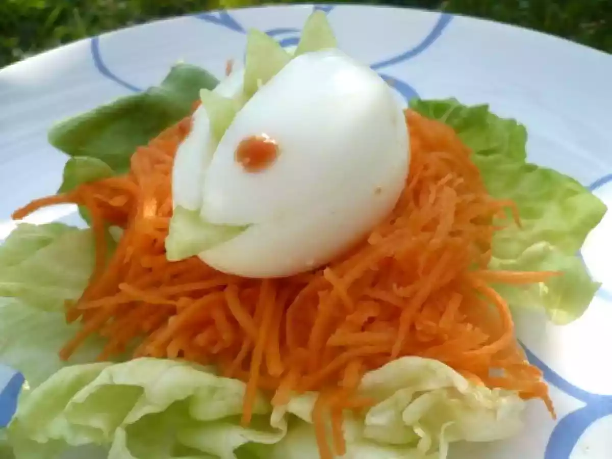 Poussin sur nid de carottes