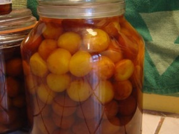 Recette de prunes à l'eau de vie maison et savoureuse