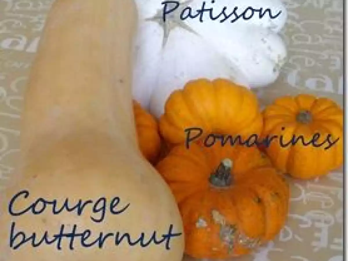 Purée de courge butternut