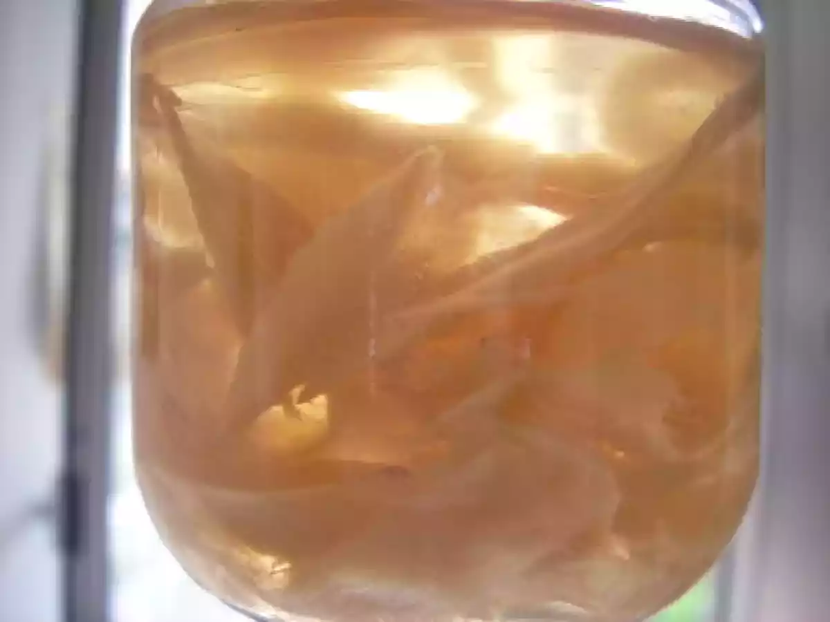 Qu'est ce que c'est ? ... Gari, ou gingembre mariné