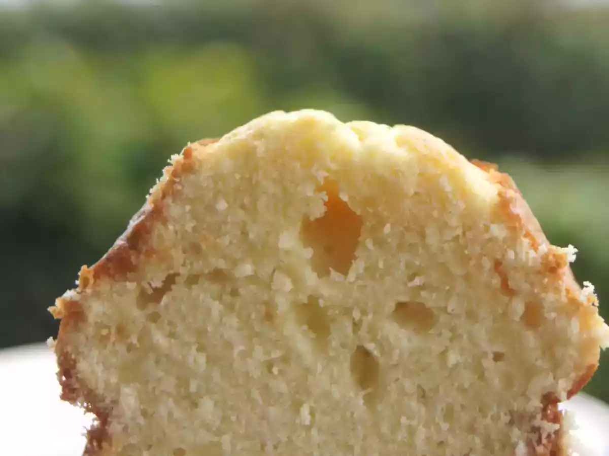 Quatre quart à la peau de lait de Michel Bras ???