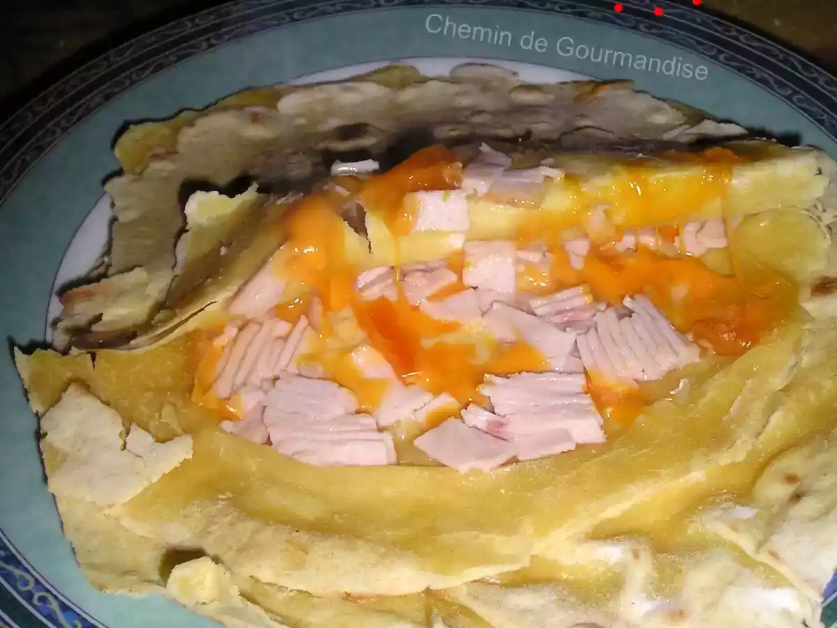 Quesadillas à la courgette Quesadillas au poulet - photo 2