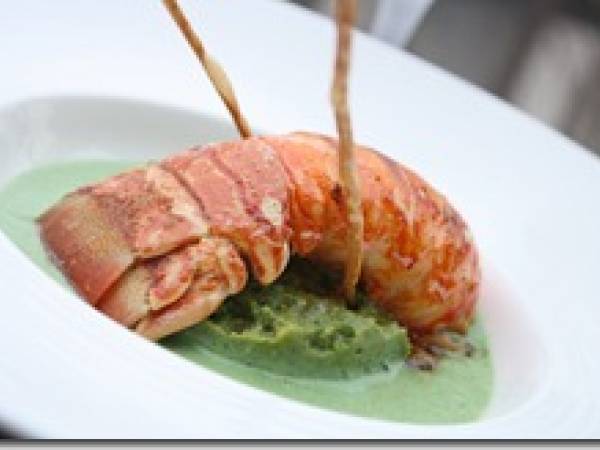 Queue de Langouste, Mousseline de Petit Pois et Crème de Cresson - photo 2