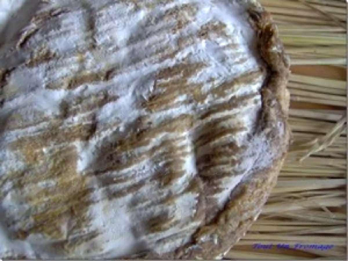 Quiche au Coulommiers, jambon et champignons de Paris