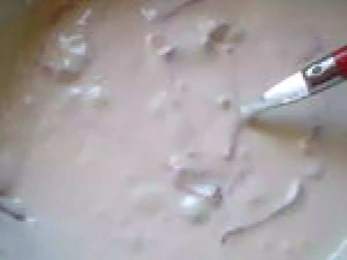 Quiche jambon cru et fromage de chèvre - photo 5