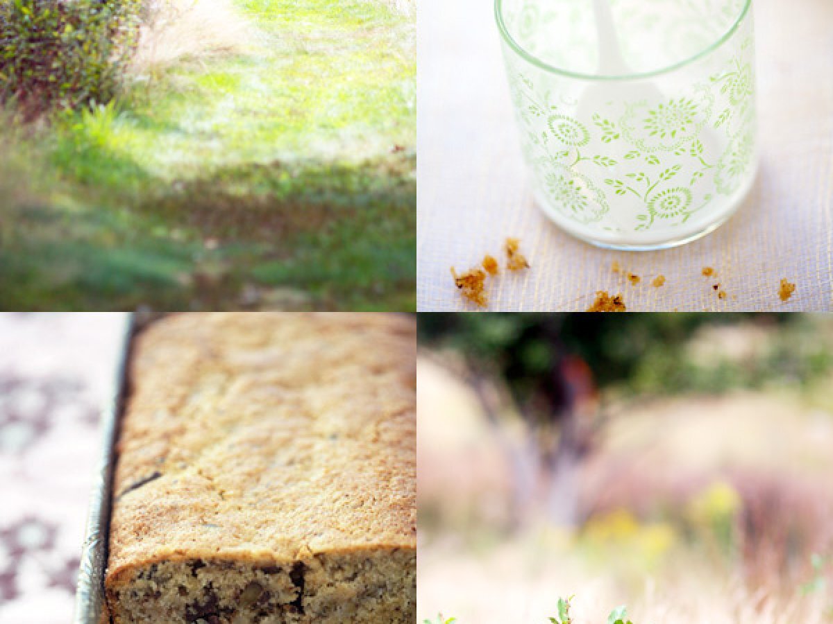 Quinoa Banana Bread Gateau Au Quinoa Et Aux Bananes Recette Ptitchef