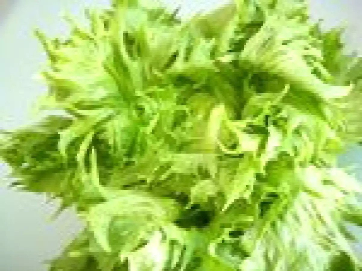 Quinzaine de la salade : Terrine Reine des Glaces / chèvre, pignons et raisins secs - photo 4