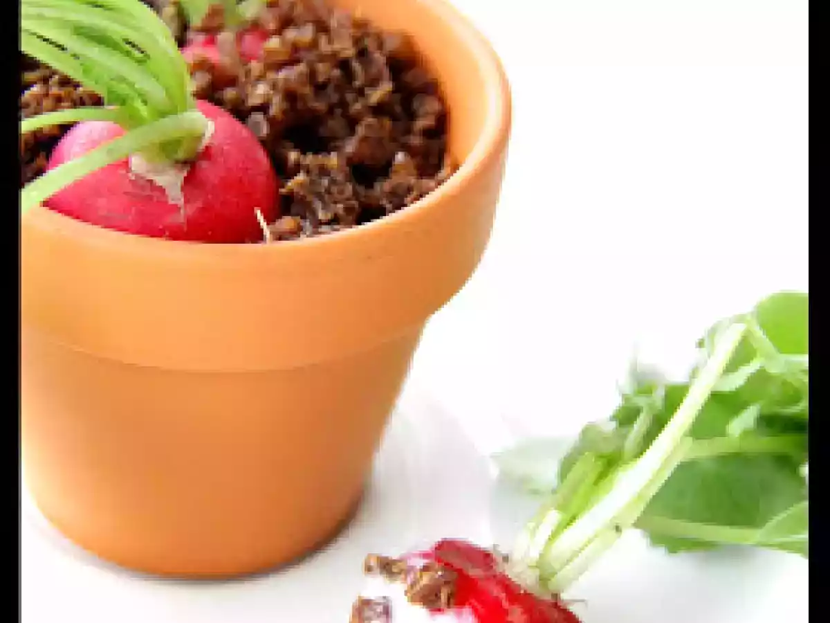 Radis en Terre façon René Redzepi - Noma** (Copenhague)